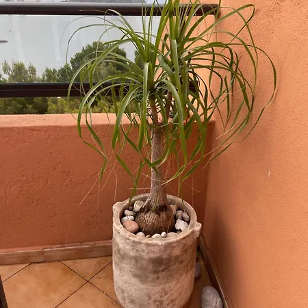 Apartment Frontview Sea Vista Calpe