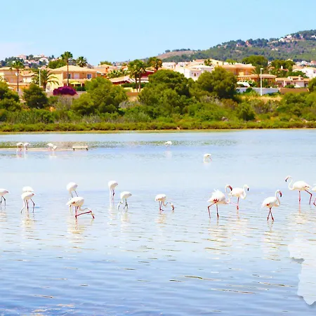 Frontview Sea Vista *