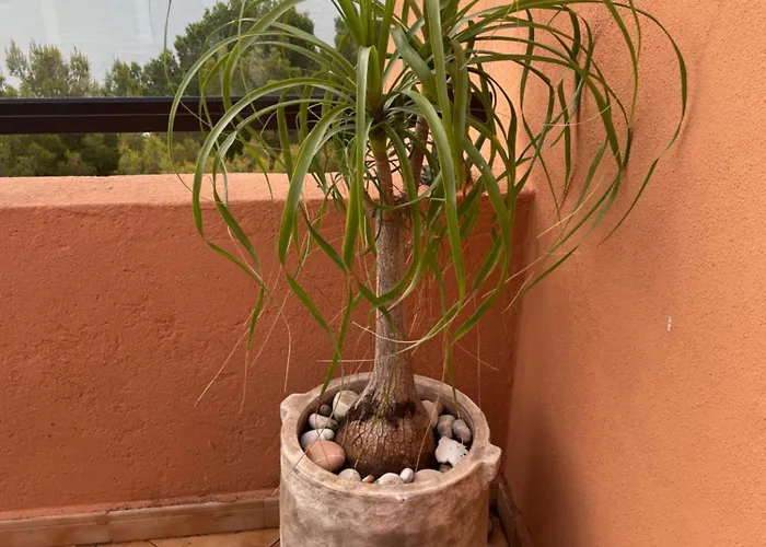 Διαμέρισμα Frontview Sea Vista Κάλπε